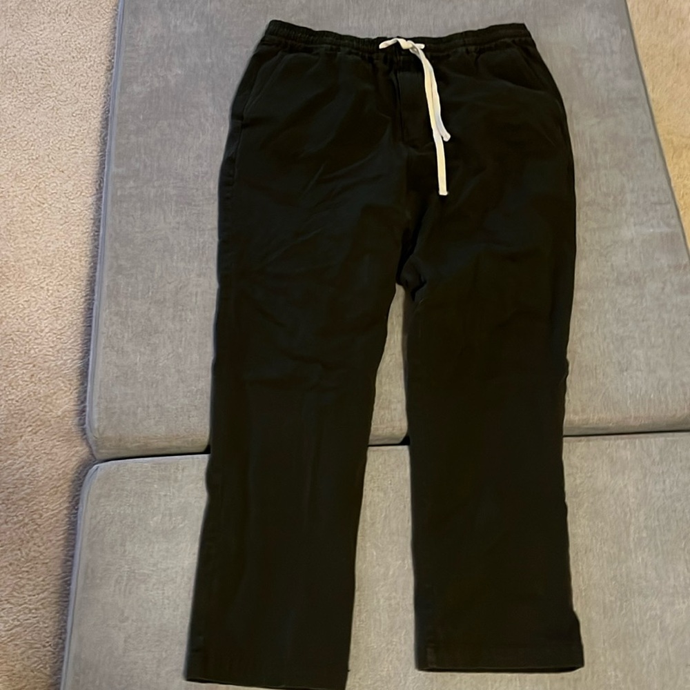 J Crew Dock Pants; L; Green